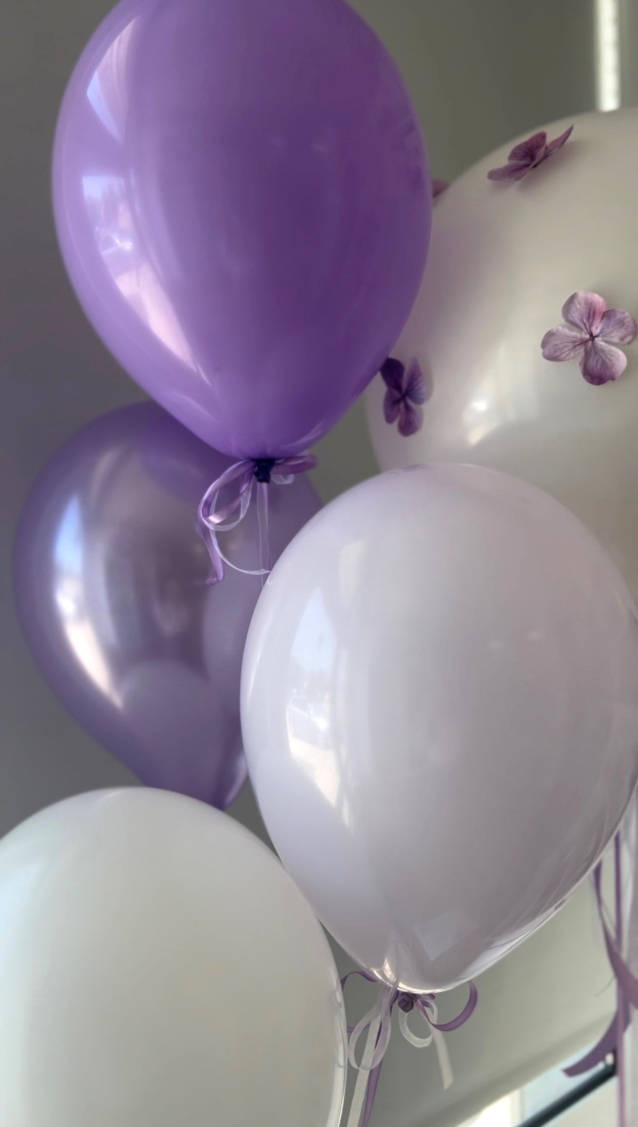 Set di palloncini in tonalità di viola