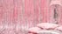 Фолиева Парти Завеса с Холограмен Ефект - Party Design