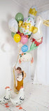 Фолиев Балон, Сладка Кокошка, Бяла, 48х60см - Party Design