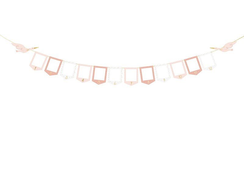 Банер с Рамки за Първите Снимки на Бебето, Розов - Party Design