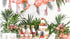 Торбички за Лакомства "Thank You" - (1 пакет / 6 бр.) - Party Design