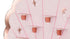 Стена за Шотове - Морска Раковина - Party Design