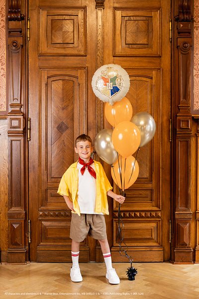 Фолиев балон Хари Потър – герб, 35 см - PartyDesign