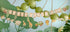 Банер Happy Birthday Safari - Party Design